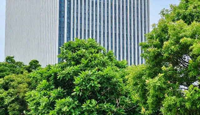 企业选型管理培训时应关注的效率提升关键点